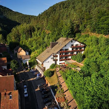 Hotel Die Kleine Blume Erfweiler Buitenkant foto