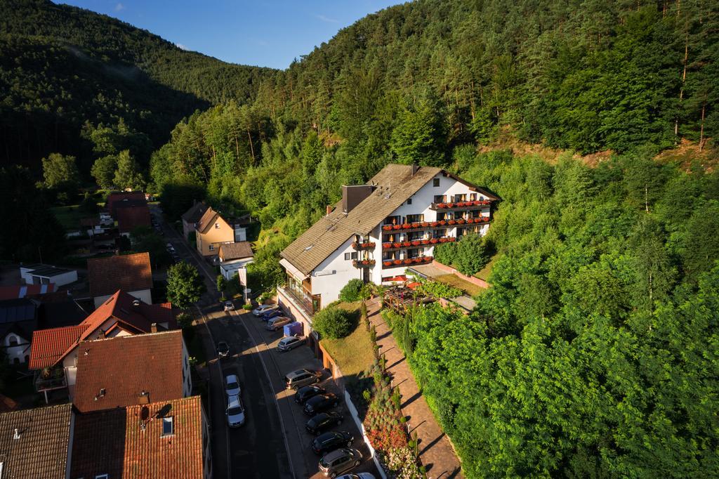 Hotel Die Kleine Blume Erfweiler Buitenkant foto