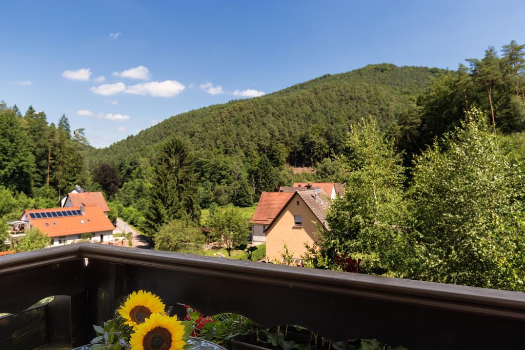 Hotel Die Kleine Blume Erfweiler Buitenkant foto