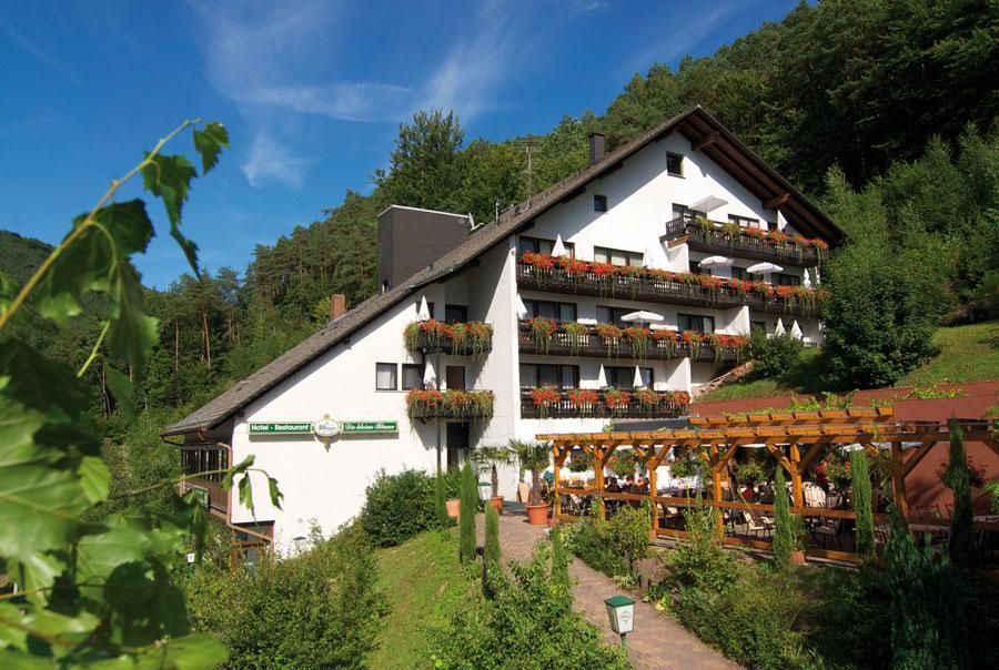 Hotel Die Kleine Blume Erfweiler Buitenkant foto
